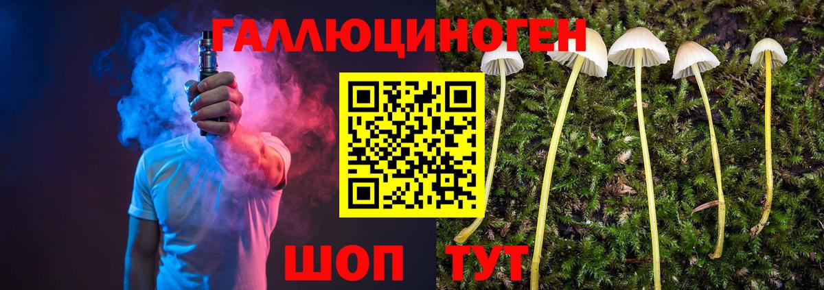 Зерноград  Галлюциногенные грибы Magic Shrooms  Галлюциногенные грибы прущие грибы  Вход с VPN 